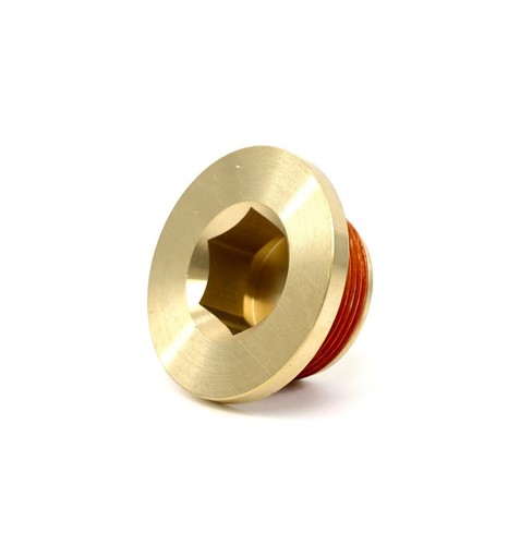 Coolant port plug for - coolant,